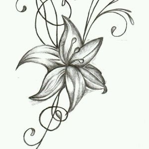 Meet your Posher, Mackenzie